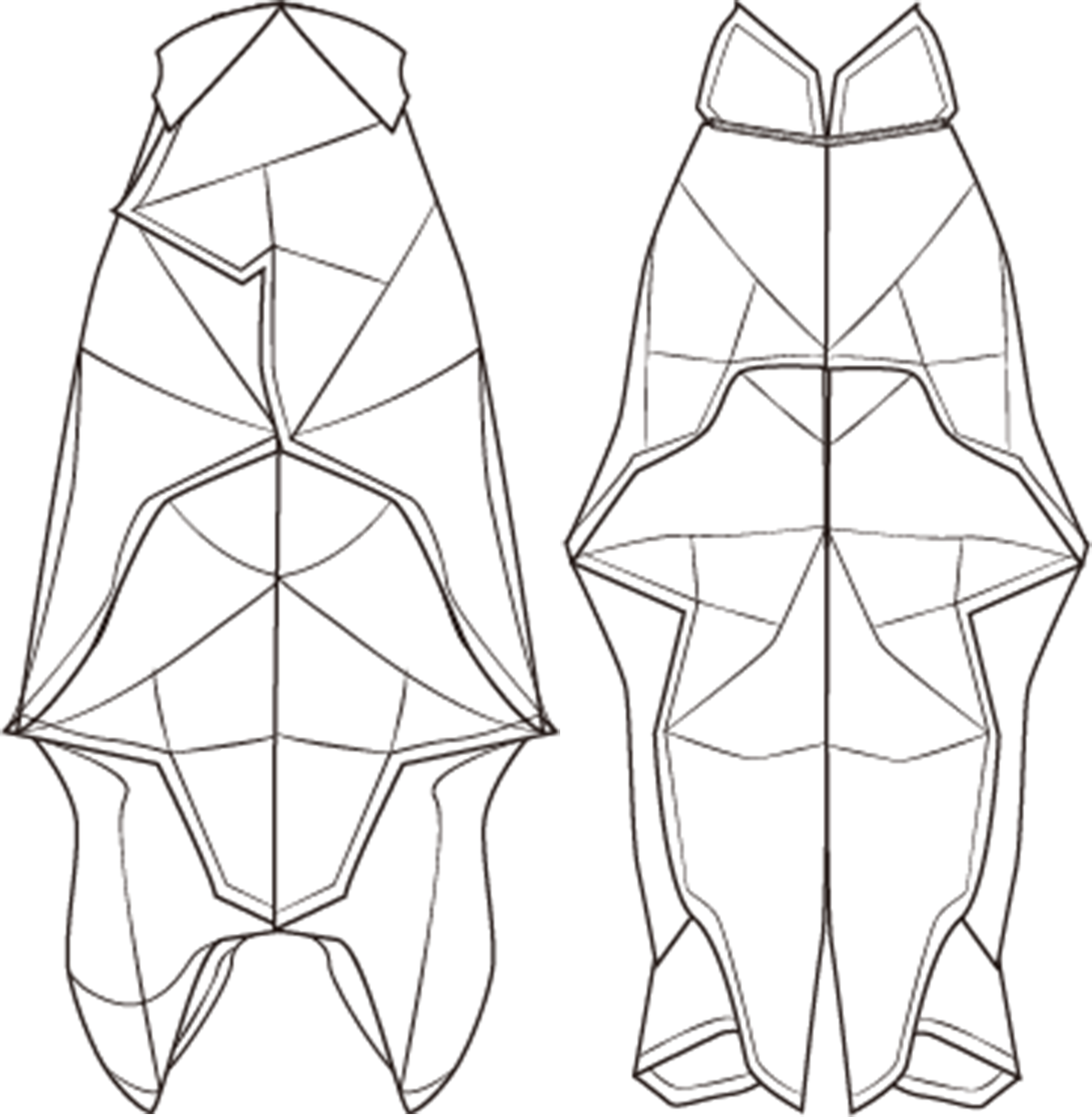 schemata